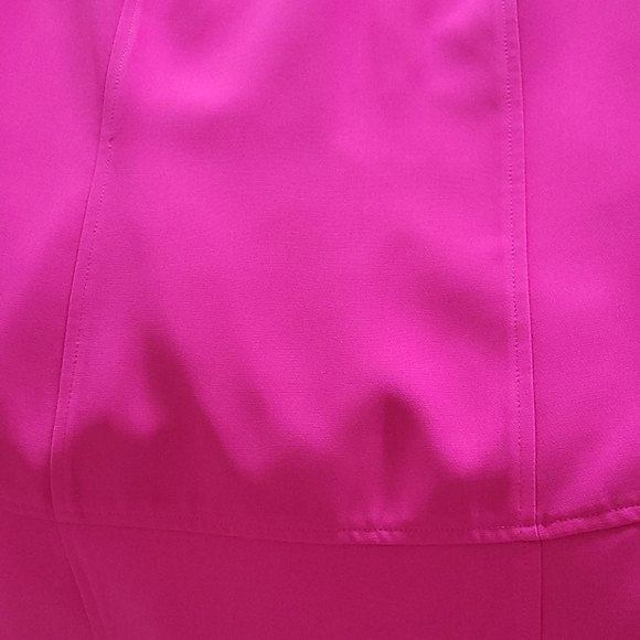 Fuschia Sheath Dress - Picture 7 of 7